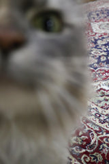 Isfahan Machine-made Rug | Blue | 5525-301330