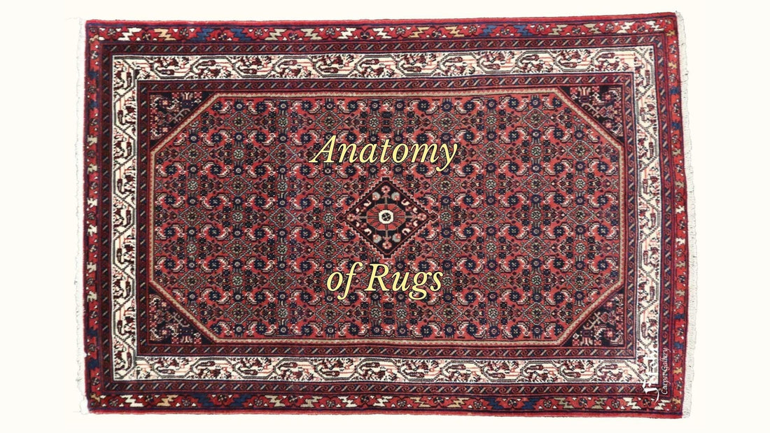 The Anatomy of Rugs: Understanding Persian Rug Design & Structure (Part 1)