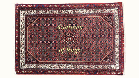 The Anatomy of Rugs: Understanding Persian Rug Design & Structure (Part 1)
