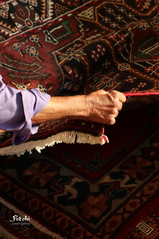 Wool Carpets in Singapore Guide: 7 Benefits, Care Tips and Buying Advice